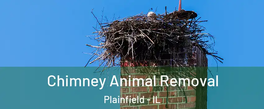 Chimney Animal Removal Plainfield - IL