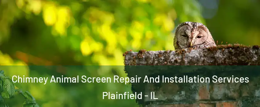  Chimney Animal Screen Repair And Installation Services Plainfield - IL