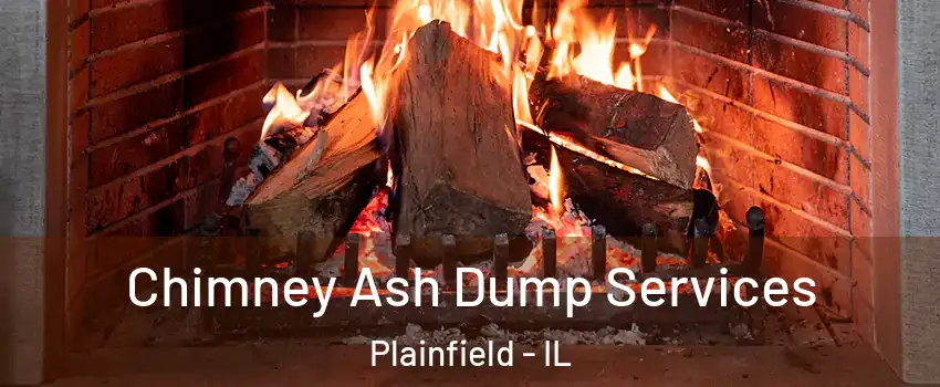  Chimney Ash Dump Services Plainfield - IL