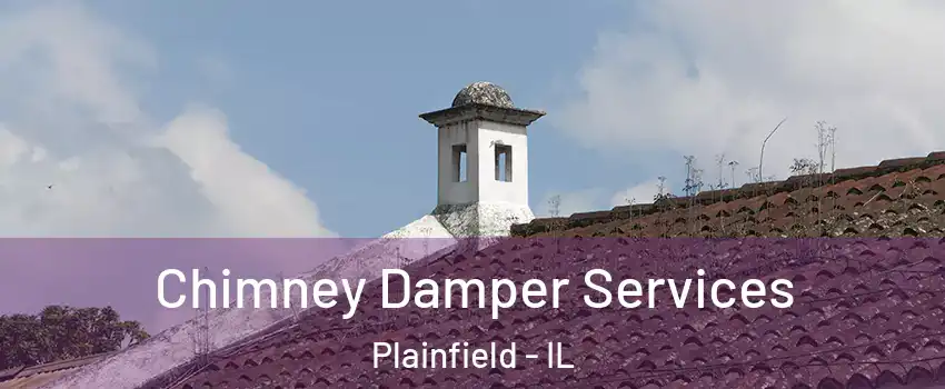  Chimney Damper Services Plainfield - IL