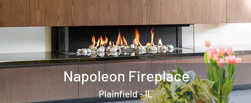 Napoleon Fireplace Plainfield - IL